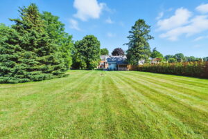 65-web-or-mls-DSC09618